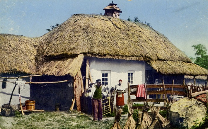 Росфарбовані листівки, типи українців 4